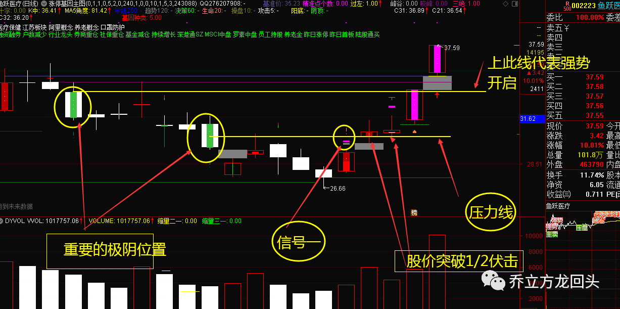 《龙回头》涨停基因战法案例展示
